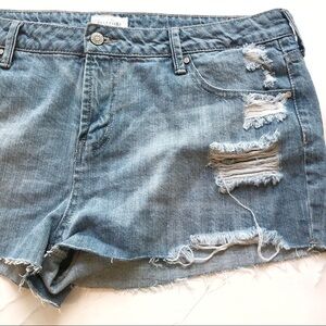 Celebrity Pink size 13 distressed cutoff shorts